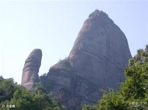 吉安井冈山风景区旅游攻略 之 孔雀峰