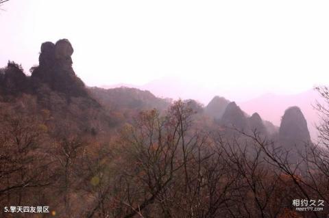 天桥沟森林公园旅游攻略 之 擎天四友景区