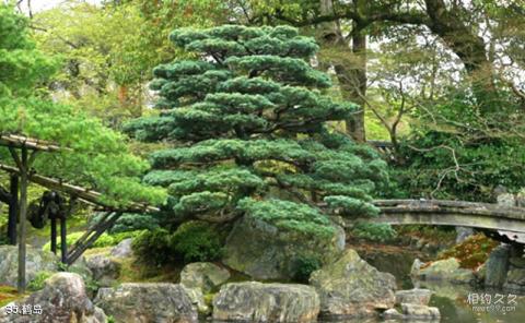 日本醍醐寺旅游攻略 之 鹤岛