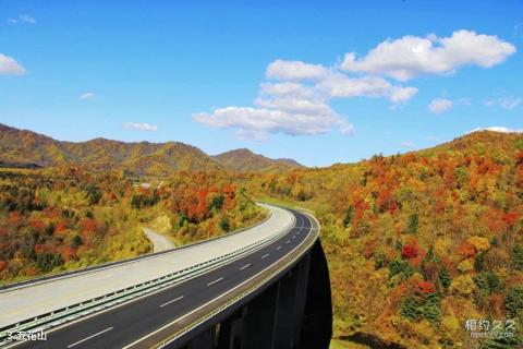 哈尔滨亚布力虎峰岭风景区旅游攻略 之 五花山