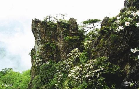 浙南箬寮原始林旅游攻略 之 石人矶