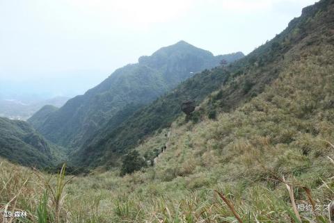 莆田瑞云山风景区旅游攻略 之 森林