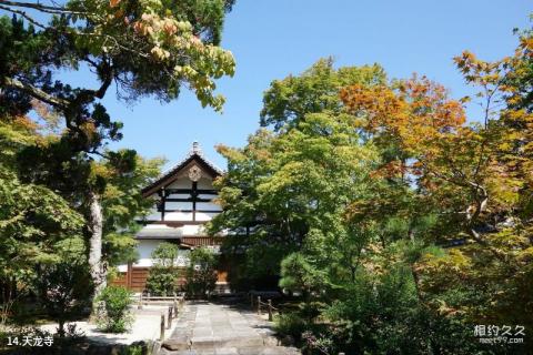 日本京都旅游攻略 之 天龙寺