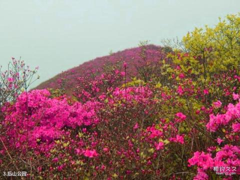 台北阳明山国家公园旅游攻略 之 后山公园