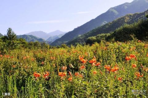 陕西长青国家级自然保护区旅游攻略 之 春景