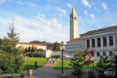 美国旧金山旅游攻略 之 加利福尼亚大学