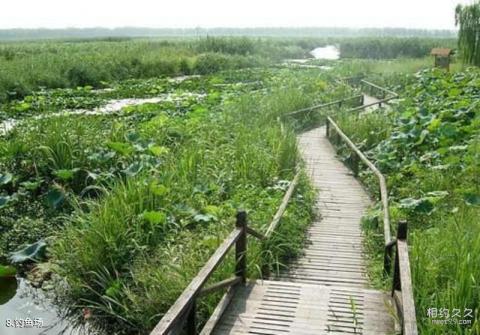 沈阳仙子湖风景度假区旅游攻略 之 钓鱼场