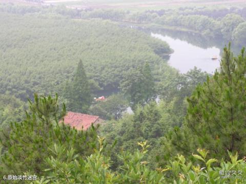 湖州安吉中南百草园景区旅游攻略 之 原始淡竹迷宫