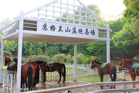 苏州乐园旅游攻略 之 苏格兰山庄跑马场