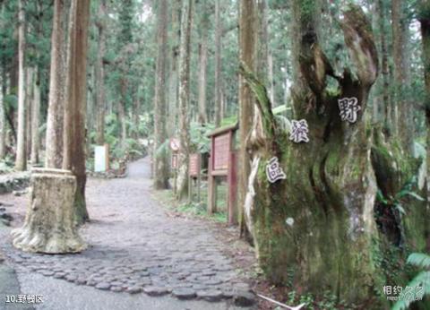 台湾溪头森林公园（溪头自然教育园区）旅游攻略 之 野餐区