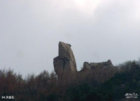 青岛崂山景区旅游攻略 之 天鼠石