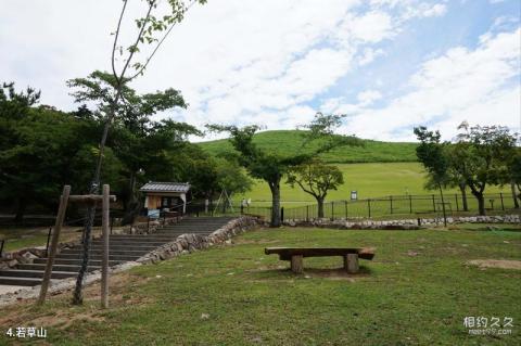 日本奈良旅游攻略 之 若草山