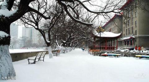 哈尔滨工程大学校园风光 之 冬日雪景