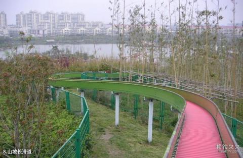 上海闵行体育公园旅游攻略 之 山坡长滑道