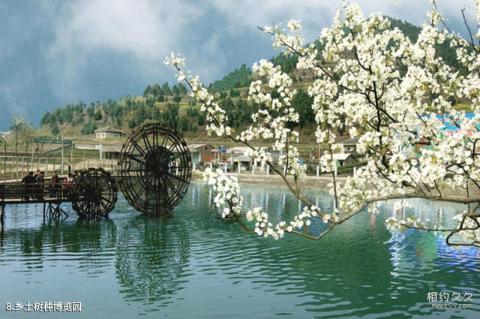 广元苍溪红军渡·西武当山景区旅游攻略 之 乡土树种博览园