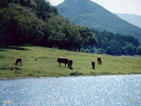 吉林松花湖风景名胜区旅游攻略 之 额赫岛