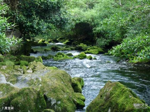 荔波茂兰喀斯特森林旅游攻略 之 青龙涧