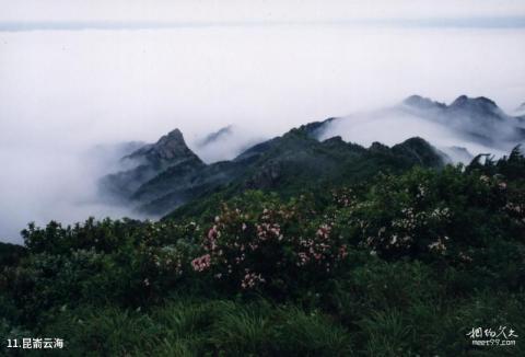 昆嵛山国家森林公园旅游攻略 之 昆嵛云海