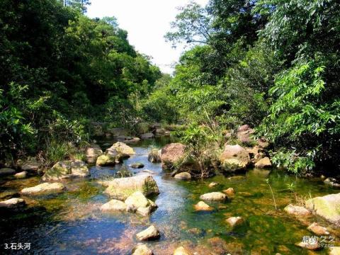 上思十万大山国家森林公园旅游攻略 之 石头河