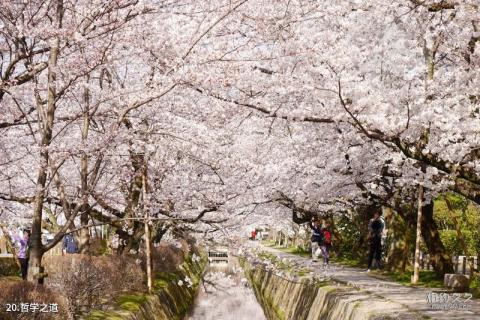 日本京都旅游攻略 之 哲学之道