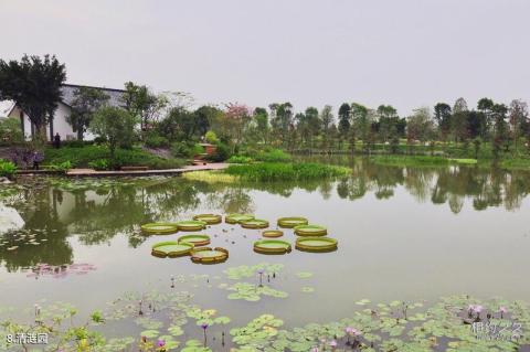 广州海珠湿地公园旅游攻略 之 清涟园