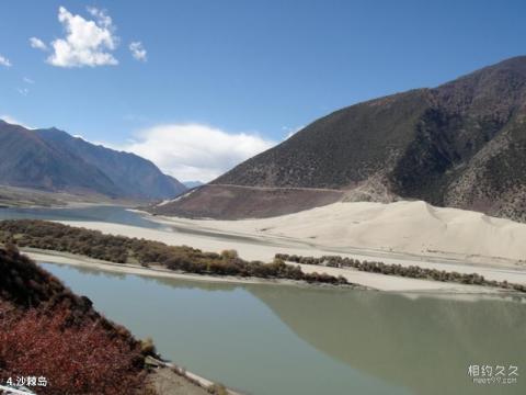 林芝南伊沟旅游攻略 之 沙棘岛