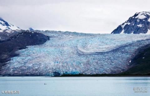 阿拉斯加冰川湾国家公园旅游攻略 之 哈普金冰河