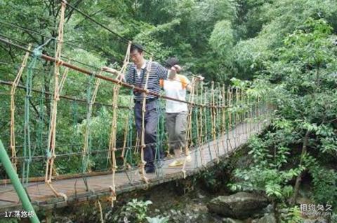 杭州神龙川风景旅游度假区旅游攻略 之 荡悠桥