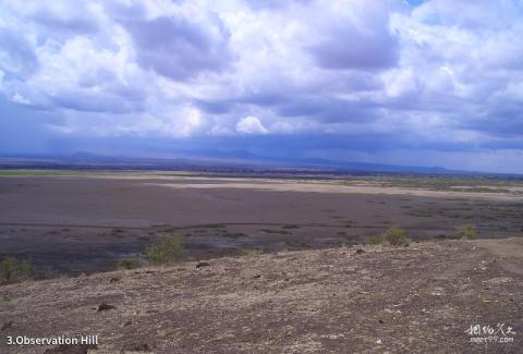 肯尼亚安博塞利国家公园旅游攻略 之 Observation Hill