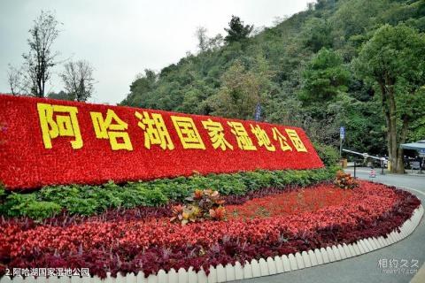 贵阳阿哈湖国家湿地公园旅游攻略 之 阿哈湖国家湿地公园