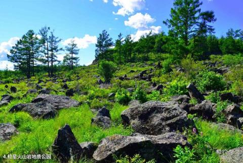 黑龙江红星湿地国家级自然保护区旅游攻略 之 红星火山岩地质公园