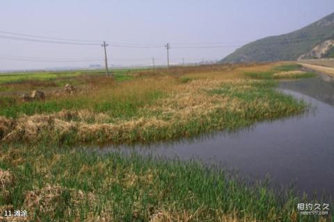 嘉兴海盐南北湖风景名胜区旅游攻略 之 滩涂