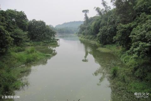 泸州张坝桂圆林旅游攻略 之 张坝桂圆林