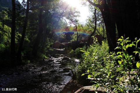 大同灵丘桃花山旅游攻略 之 泉水叮咚