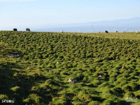 兰州兴隆山旅游攻略 之 马啣山