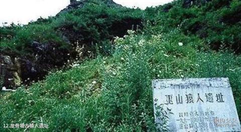 重庆巫山小三峡旅游攻略 之 龙骨坡古猿人遗址