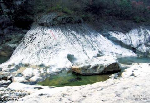 金寨燕子河大峡谷旅游攻略 之 鲸鱼戏水