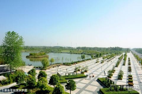 泗阳奥林匹克生态公园旅游攻略 之 亲水平台滨水步道