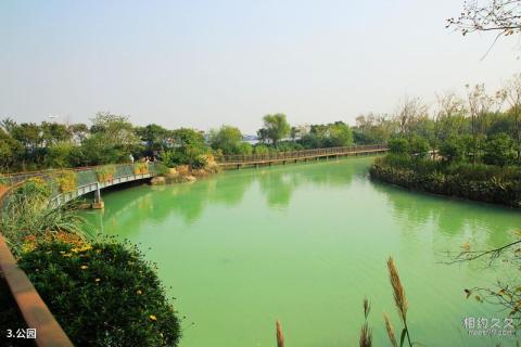 上海吴淞炮台湾国家湿地公园旅游攻略 之 公园