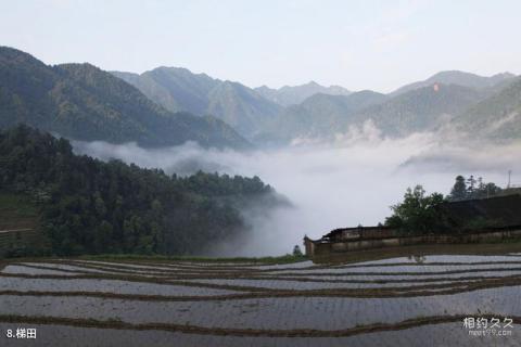 广西花坪国家级自然保护区旅游攻略 之 梯田