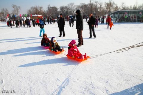 哈尔滨太阳岛国际雪雕艺术博览会旅游攻略 之 亲雪体验