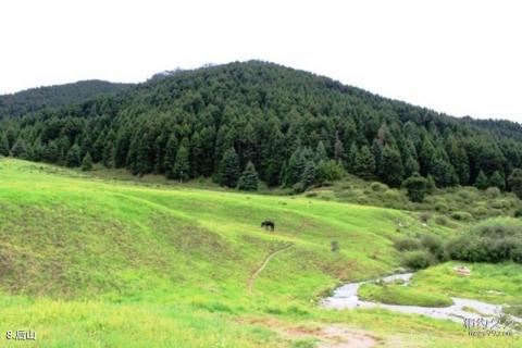 嘉峪关东湖生态旅游景区旅游攻略