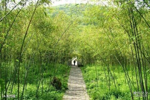 盱眙铁山寺国家森林公园旅游攻略 之 毛竹园