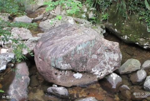 遂昌千佛山自然风景区旅游攻略 之 悟能石