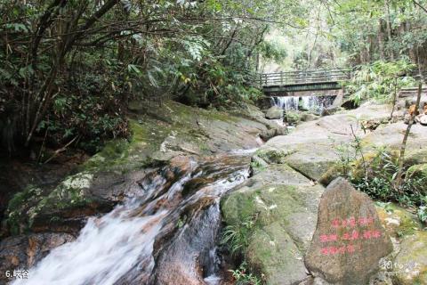 武夷山龙川大峡谷旅游攻略 之 峡谷