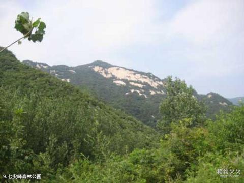 桐柏山淮源风景名胜区旅游攻略 之 七尖峰森林公园