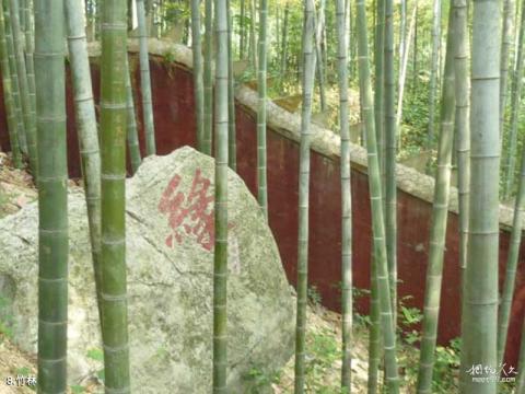 咸宁太乙洞风景区旅游攻略 之 竹林