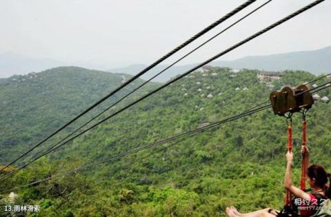 亚龙湾热带天堂森林公园旅游攻略 之 雨林滑索