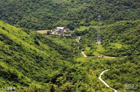 南阳方城七峰山旅游攻略 之 万亩滕海