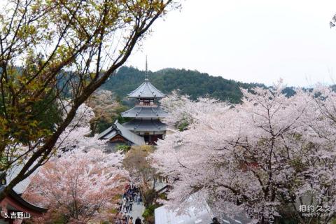 日本奈良旅游攻略 之 吉野山